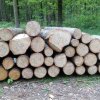 IMG_20160512_100830