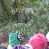 ŠD - meandry Botiče 13.10.2016