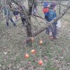 ŠD-pro zvířátka - 22.12.2016