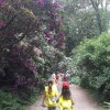 ŠD - Průhonice - 29.5.2017