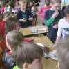 velikonoční_dílny_228