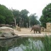 zoo-16