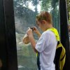 4. tř. v ZOO - 1.6.2016